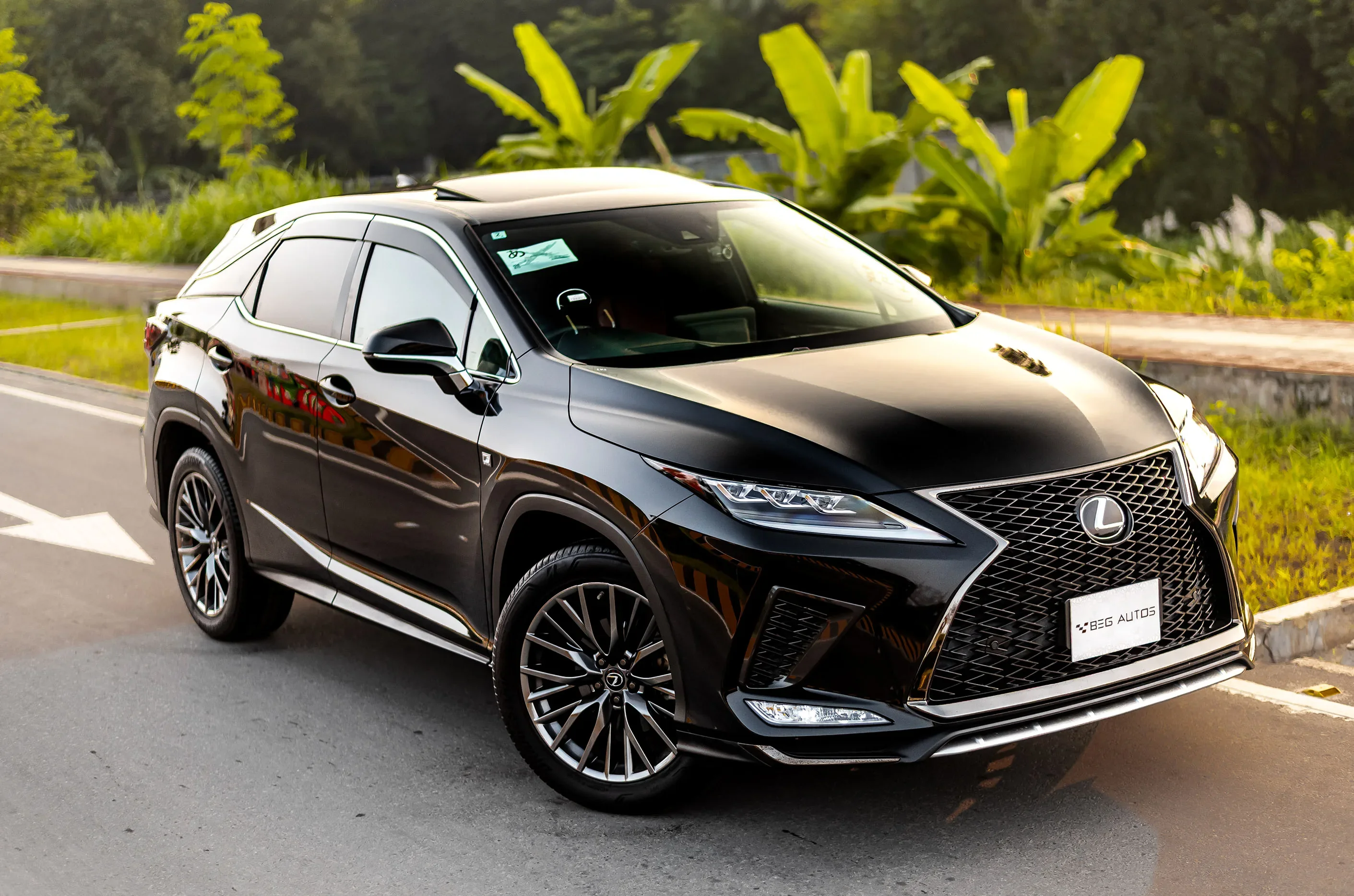 Lexus RX 300 F Sport